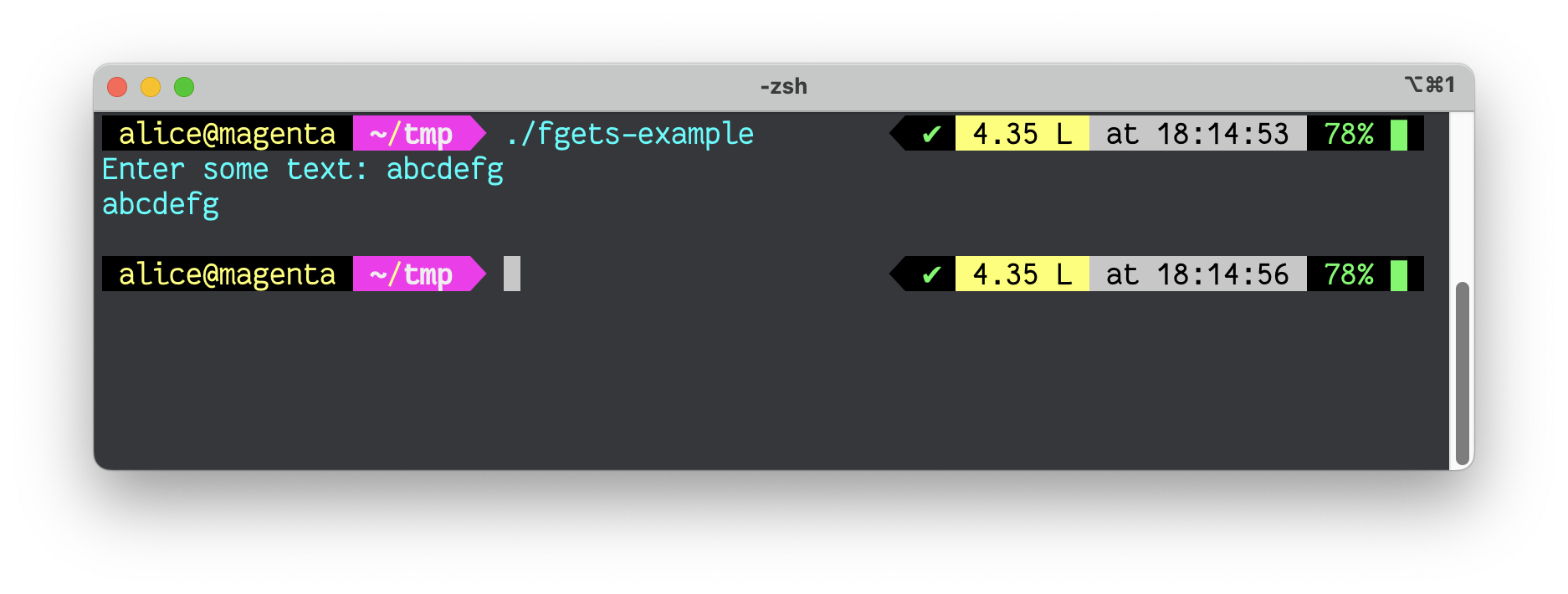 A screenshot showing the fgets example with abcdefg echoed back to the user
