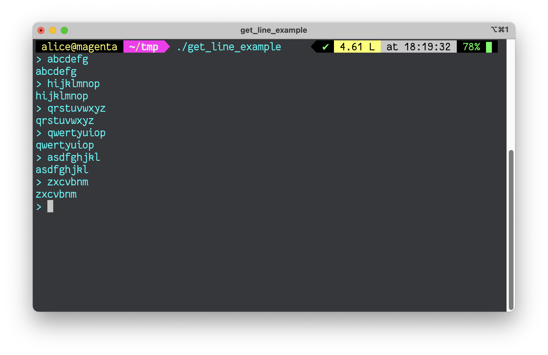 A screenshot showing the get_line function in use reading characters and echoing them back